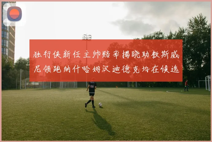 独行侠新任主帅赔率揭晓助教斯威尼领跑纳什哈姆汉迪德克均在候选之中
