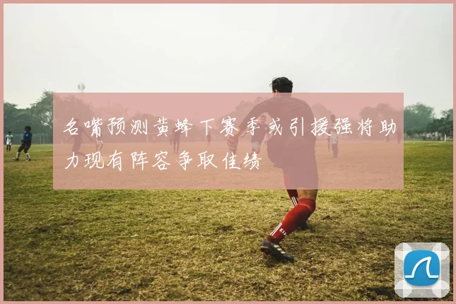 名嘴预测黄蜂下赛季或引援强将助力现有阵容争取佳绩